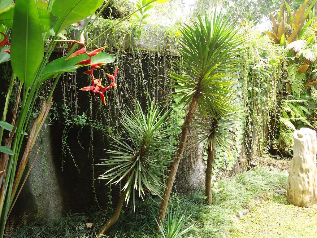 Labak River Hotel By Eps Ubud Extérieur photo