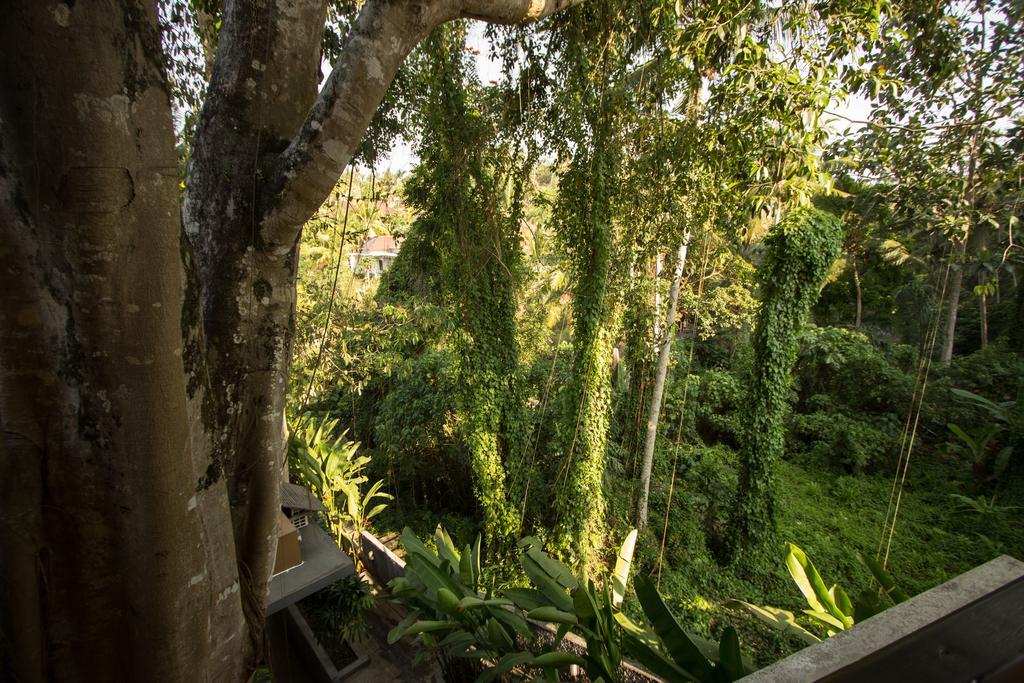 Labak River Hotel By Eps Ubud Extérieur photo