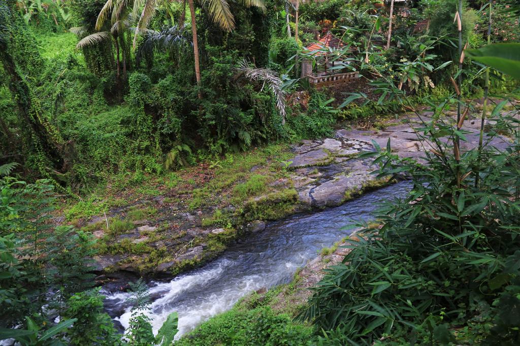 Labak River Hotel By Eps Ubud Extérieur photo